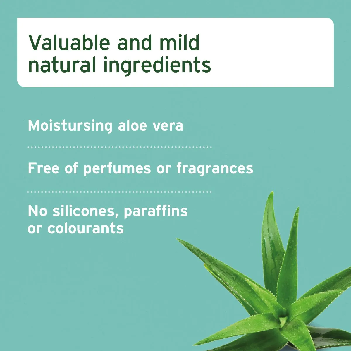 Aloe Vera Mild Shampoo for Puppies - 200ml