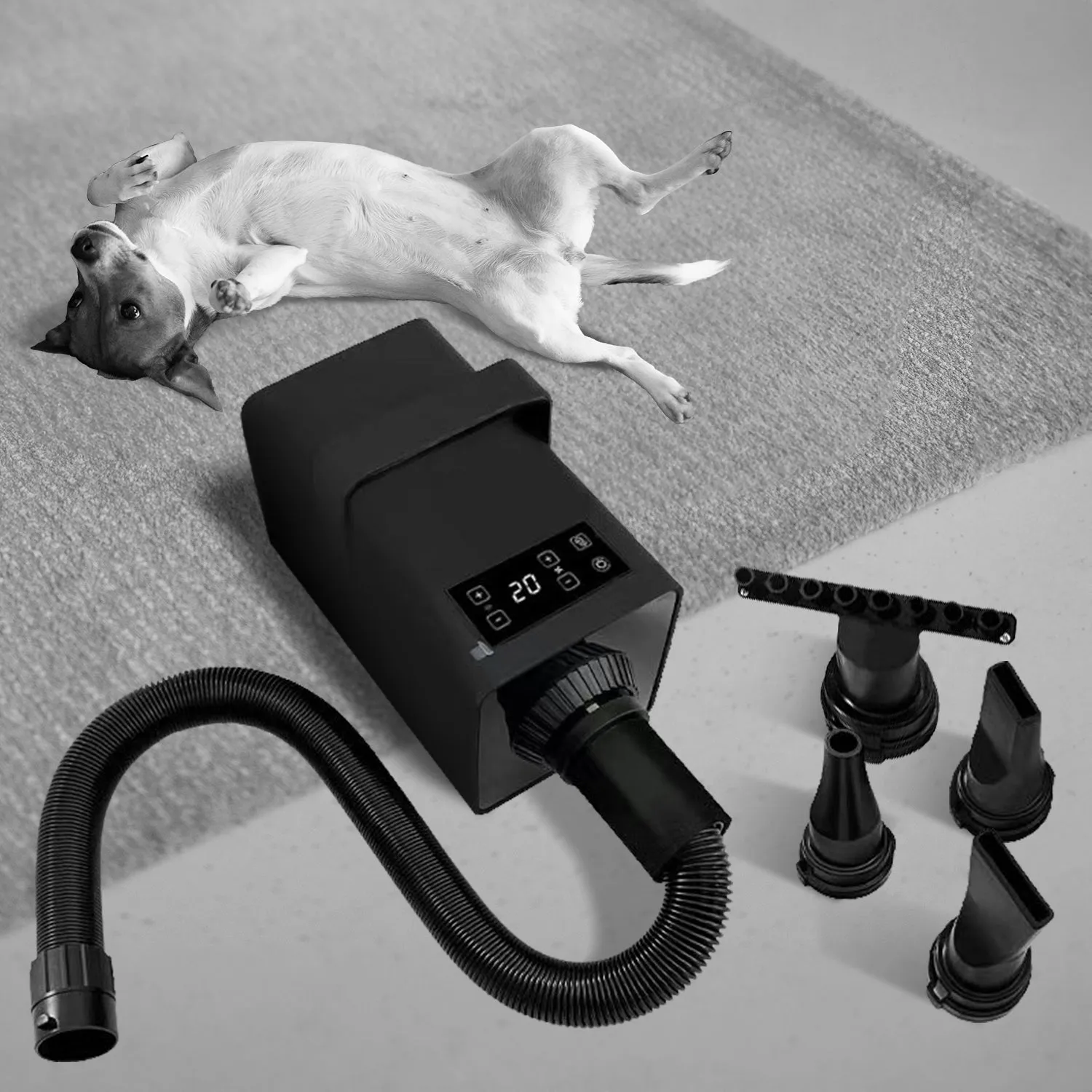 Customizable Pet Hair Dryer with LCD & Touch, 3200W - FLOOFI