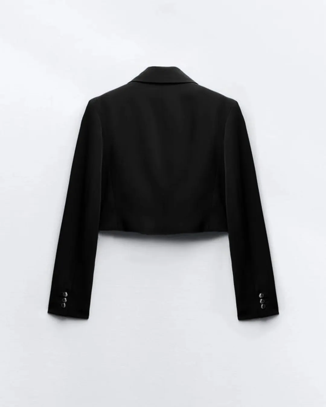 Double-Breasted Front Buttoned Blazer & Pleated Elegant Style Culottes In Black