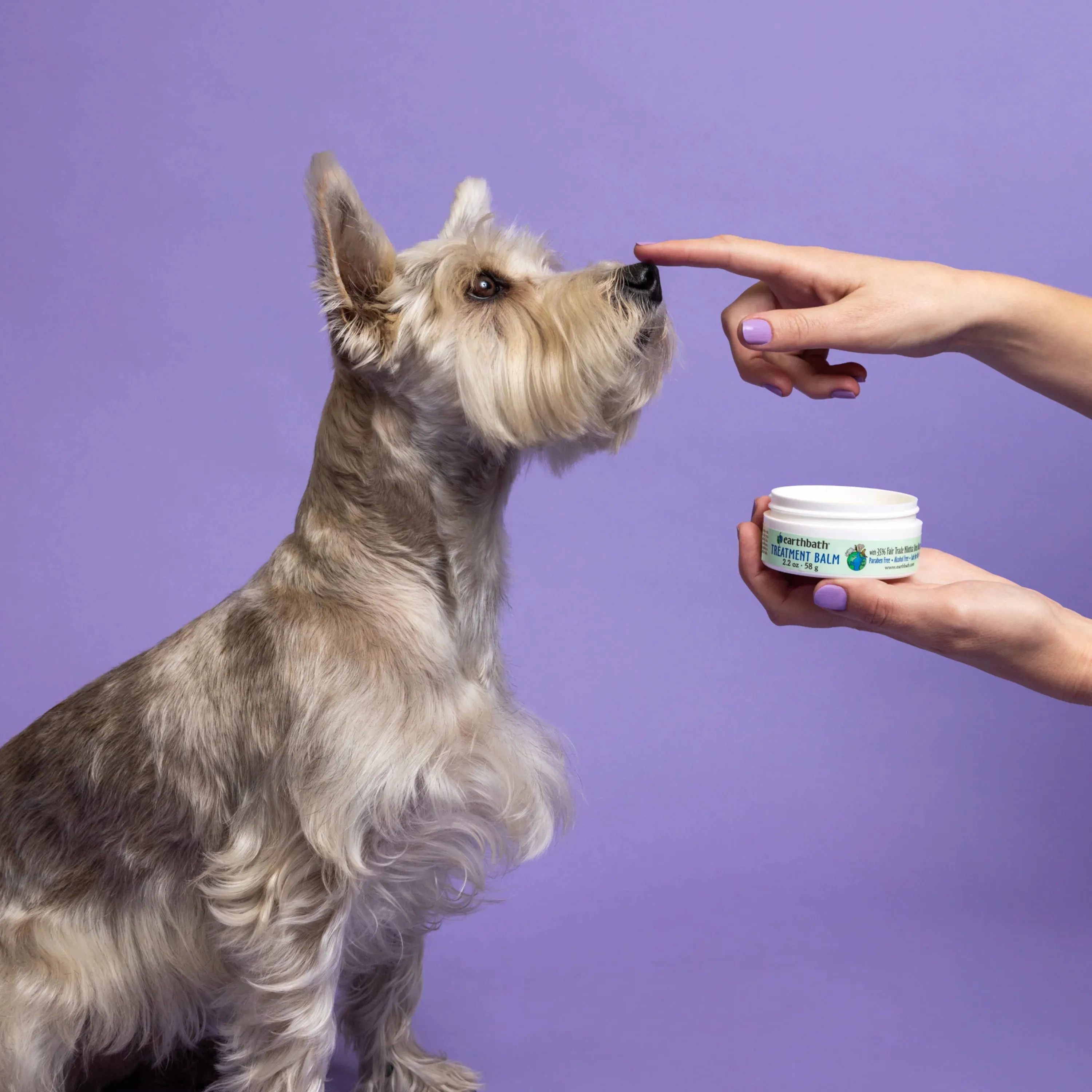 Earthbath Treatment Balm (For Cracked Paws, Noses & Hot Spots)