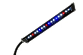 Finnex Stingray LED Clip Light