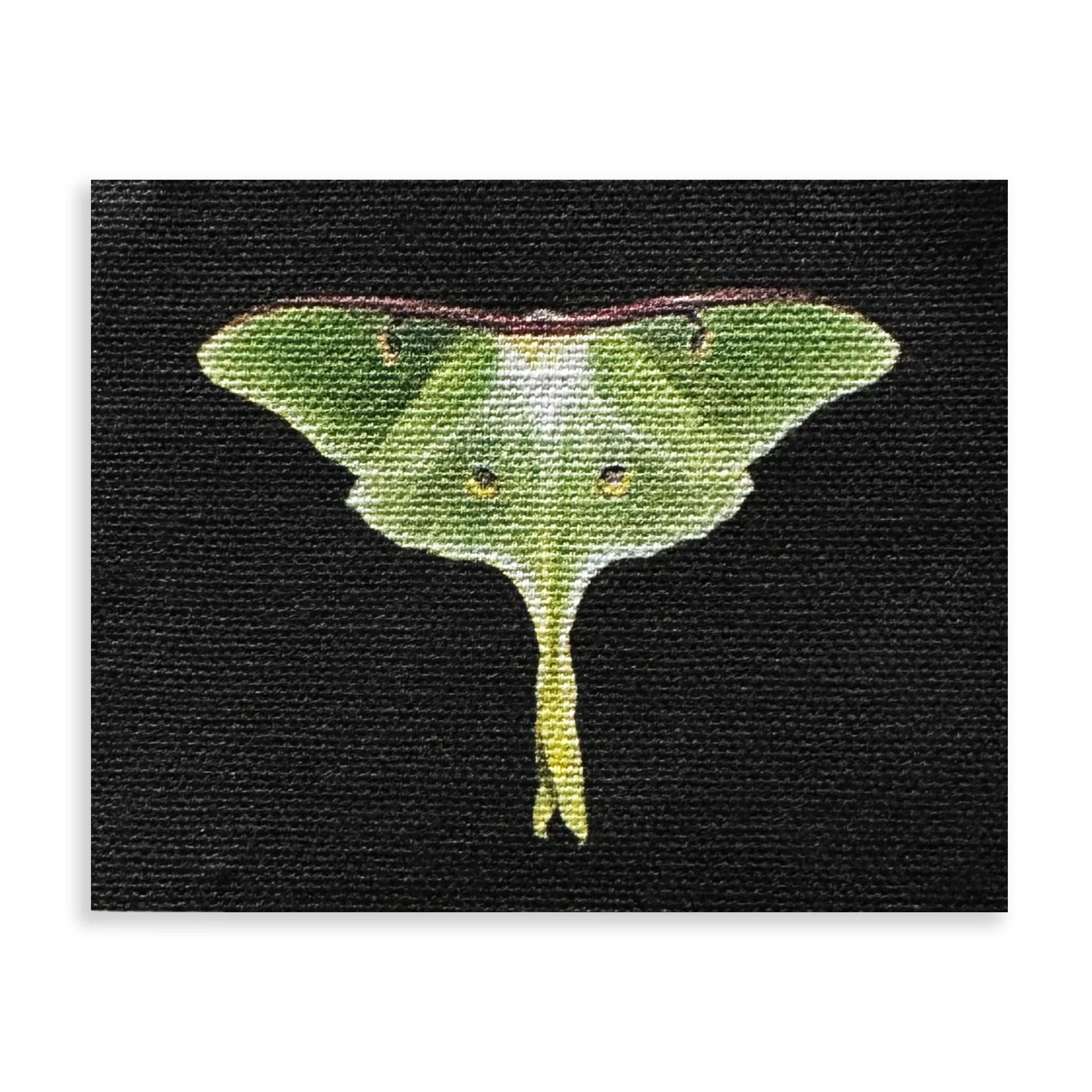 Luna Moth Sew-On Patch