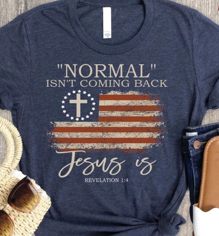 Normal Isn't Coming Back Unisex Tshirt