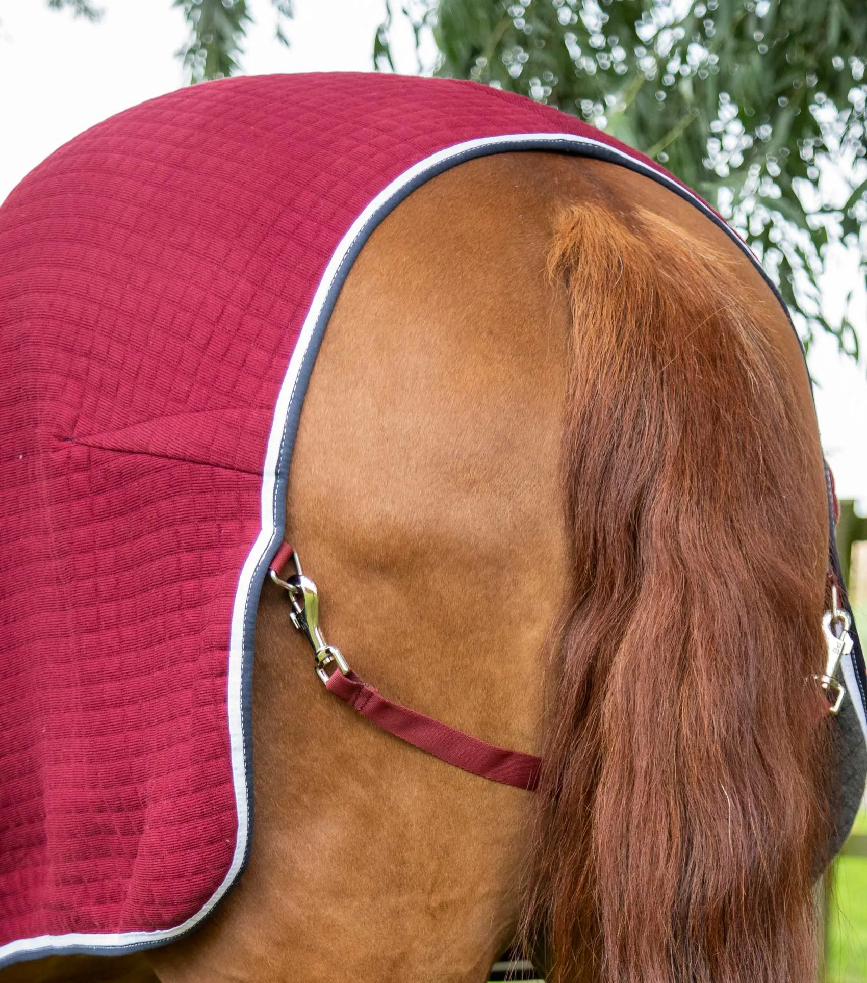 PremTex Horse Cooler Rug Burgundy